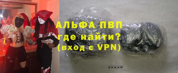 индика Чекалин