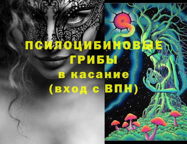 винт Липки
