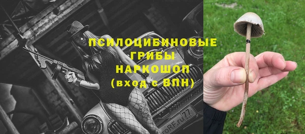 винт Липки